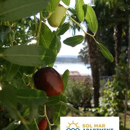 Daire Sol Mar Portorož