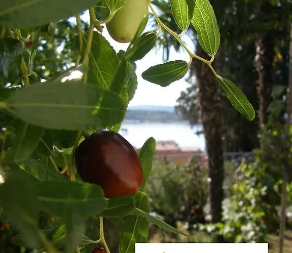 Appartamento Sol Mar Portorose